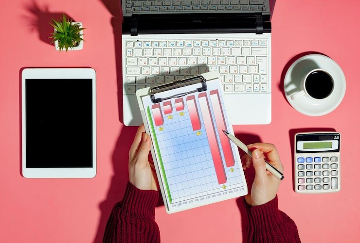 Organizador Financeiro Pessoal