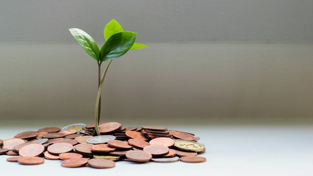 O que é CDI: moedas empilhadas com uma planta crescendo, símbolo do dinheiro rendendo